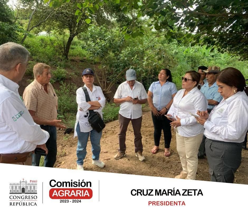 Trabajo de campo con representantes locales